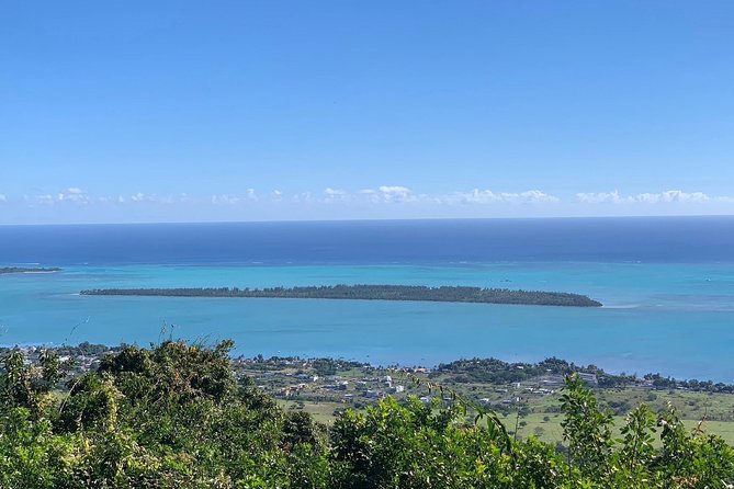 Dolphin Experience in Open Sea and South West Tour of Mauritius including Lunch - Grand Bassin and the Hindu temple
