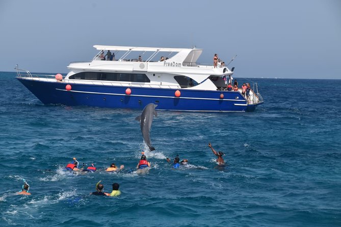 Dolphin House and Banana Boat Fun from Hurghada - Key points to know before you book