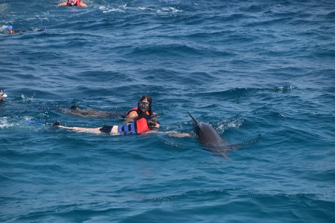 Dolphin House and Banana Boat Fun from Hurghada - Hotel pickup and the ride to the marina