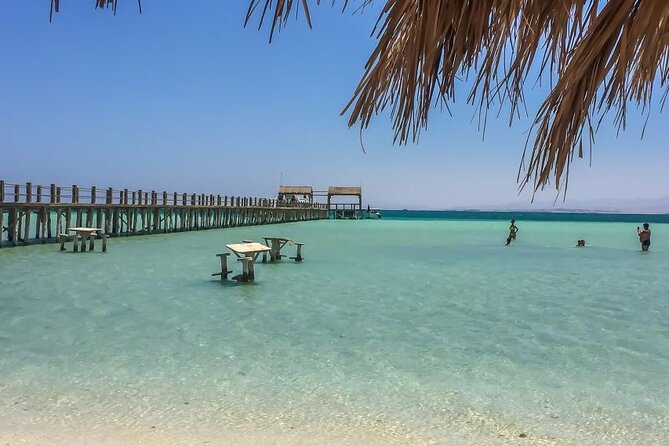 Dolphin House By Private Speedboat With Giftun Island _ Hurghada - Snorkeling in the Red Sea