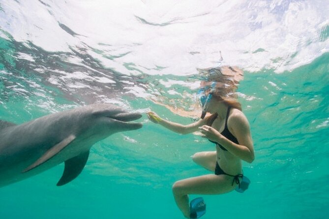 Dolphin House Cruise with water sports and Lunch in Hurghada - Key points to know before booking
