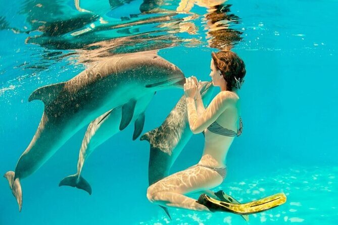 Dolphin House Cruise with water sports and Lunch in Hurghada - Sailing toward the Dolphin House area