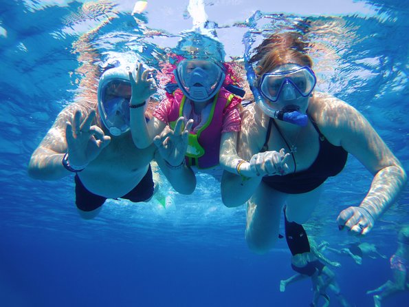 Dolphin House Reef Snorkeling Sea Trip With Transfer - Marsa Alam - The early start and ride from Marsa Alam