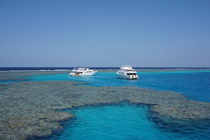 Dolphin House Reef Snorkeling Sea Trip With Transfer - Marsa Alam - Who will enjoy this day most