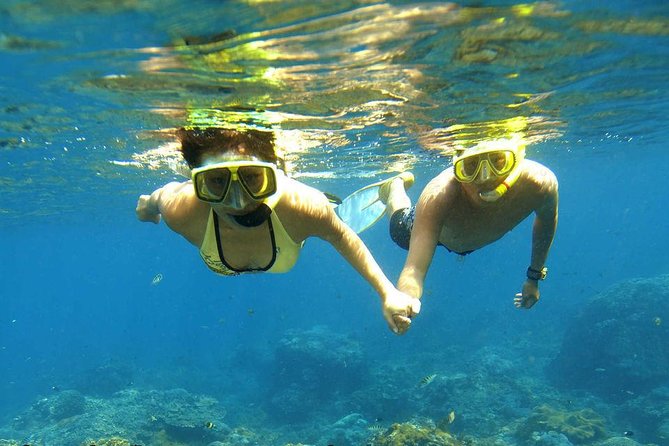 Dolphin House Royal sea Trip Luxury Boat With Transfer - Hurghada - The 8:00 am pickup and ride to the marina