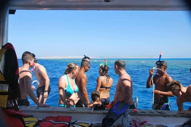 Dolphin House sea trip - Key points to know before booking