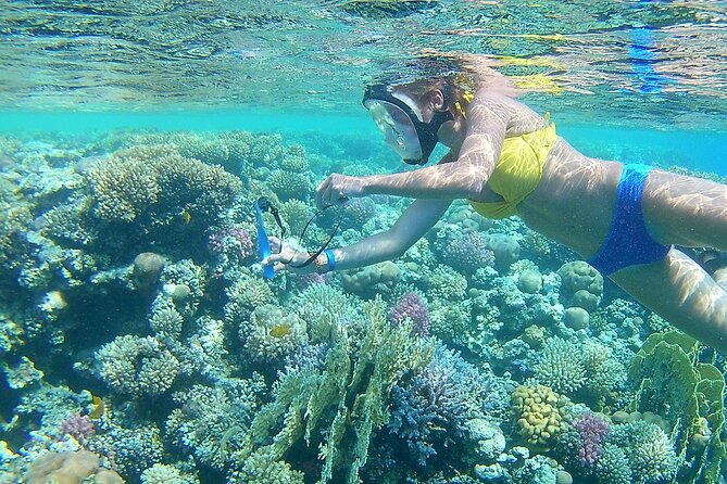 Dolphin House Sea Trip with Water Sport and Lunch - Key points to know before booking