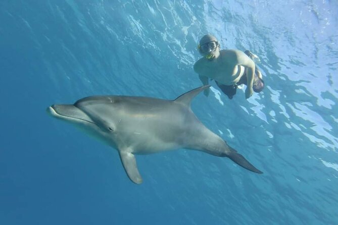 Dolphin House Snorkeling Fun in Hurghada - The coral reef snorkeling stop