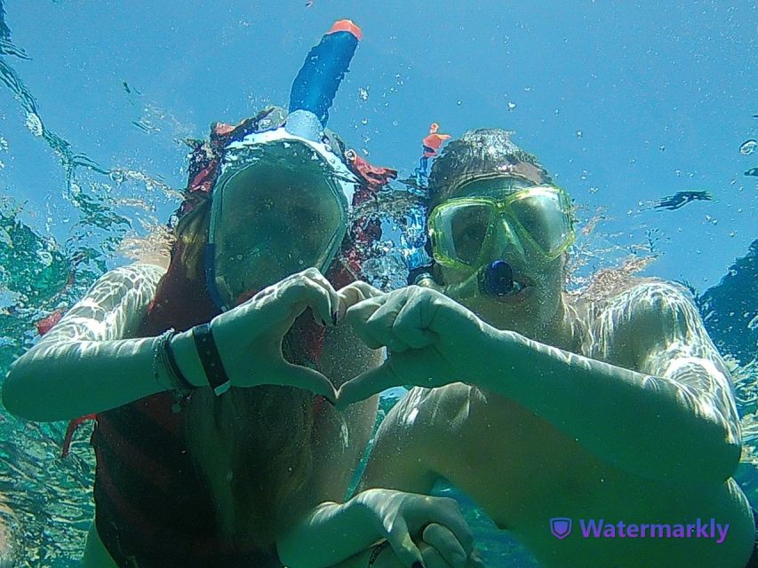 Dolphin house snorkeling trip - Who should book this trip