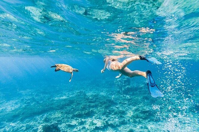 Dolphin House Snorkeling Trip + Water Sport With Lunch - Hurghada - Lunch, coffee, tea, and water