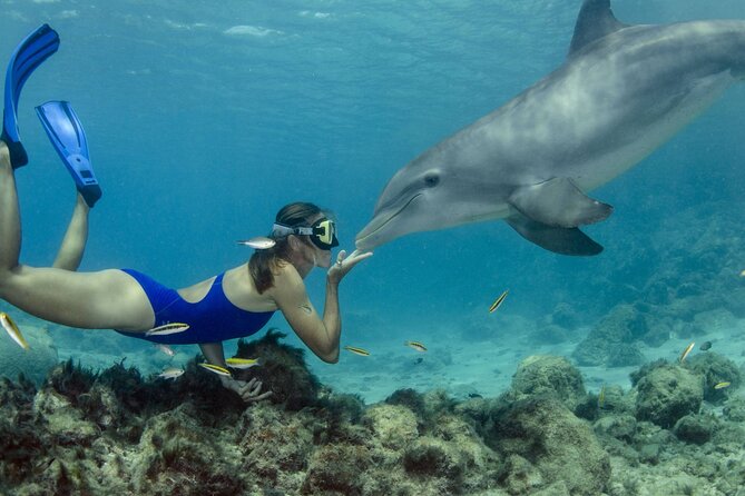 Dolphin House Snorkeling Trip & Water Sports with Lunch -Hurghada - Key points to know before booking