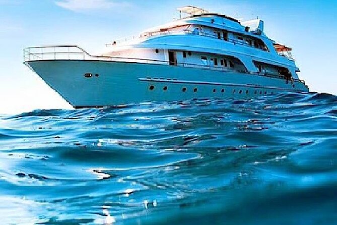Dolphin House Snorkeling Trip & Water Sports with Lunch -Hurghada - Coral reefs, fish, and the best swimming time