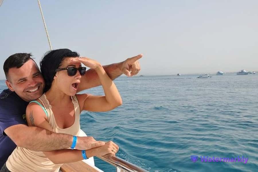 Dolphin house snorkeling trip - From your Hurghada hotel to the boat