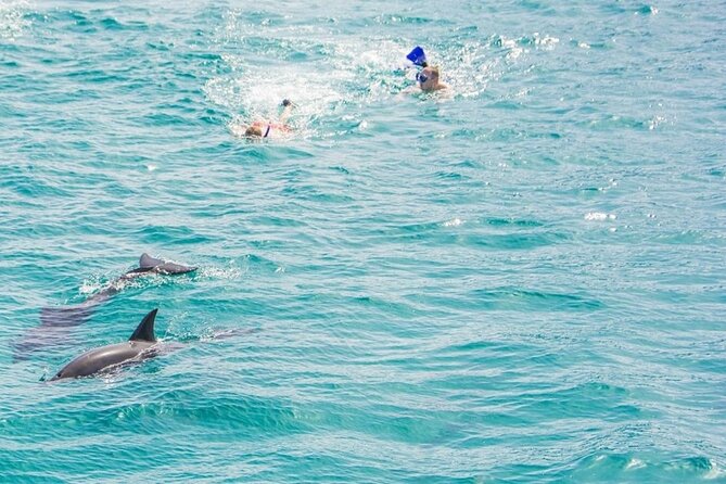 Dolphin House Snorkeling,Water Sports, Lunch & Transfer- Hurghada - Hotel pickup and the 8:00 am start