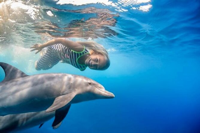 Dolphin House with Snorkeling in Hurghada - The real drawbacks: waiting and uncertain timing