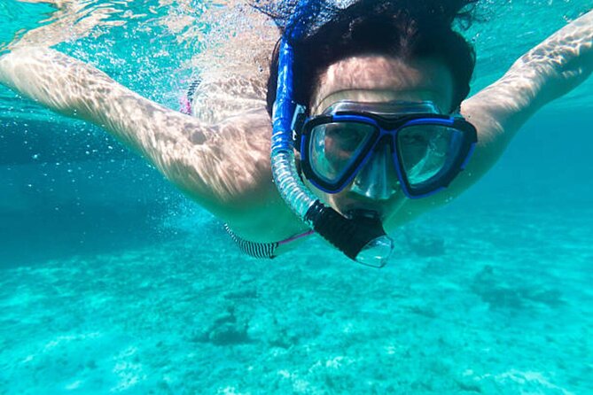 Dolphin House With Snorkeling & Lunch -Hurghada - Dolphin House and the reality of wild sightings