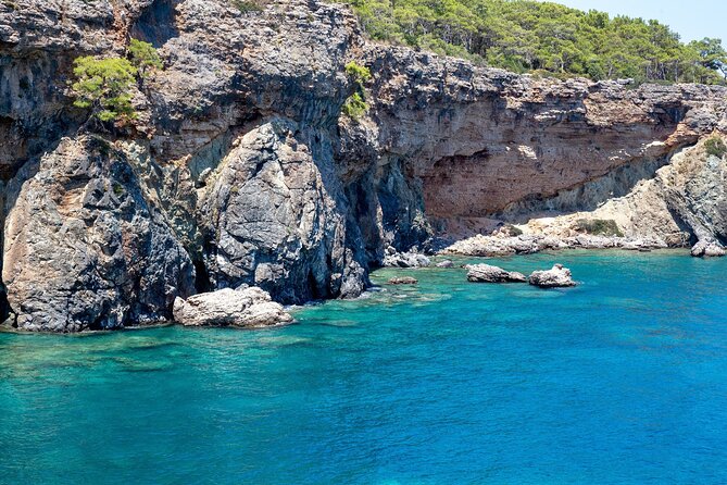 Dolphin Island Boat Trip – Swim, Sun & Lunch Included - Who should book this boat trip?