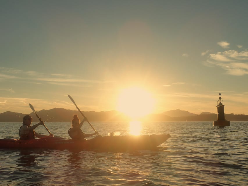 Dolphin Kayak Safari at Sunset at Golfo Aranci - Key points at a glance
