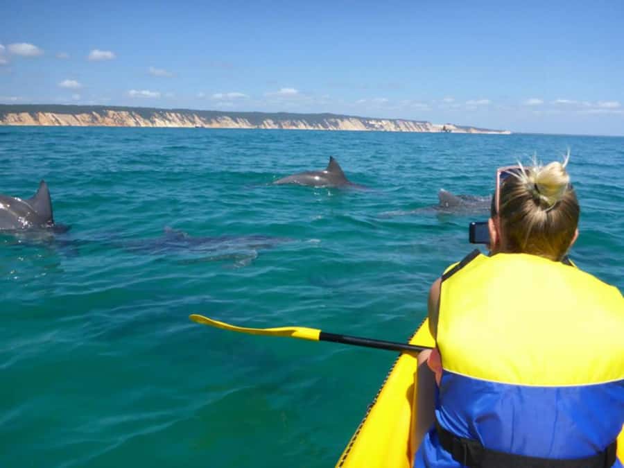 Dolphin Kayak Tour & Beach 4X4 National Park Tour (Private) - Vince’s Guiding Style and Local Stories