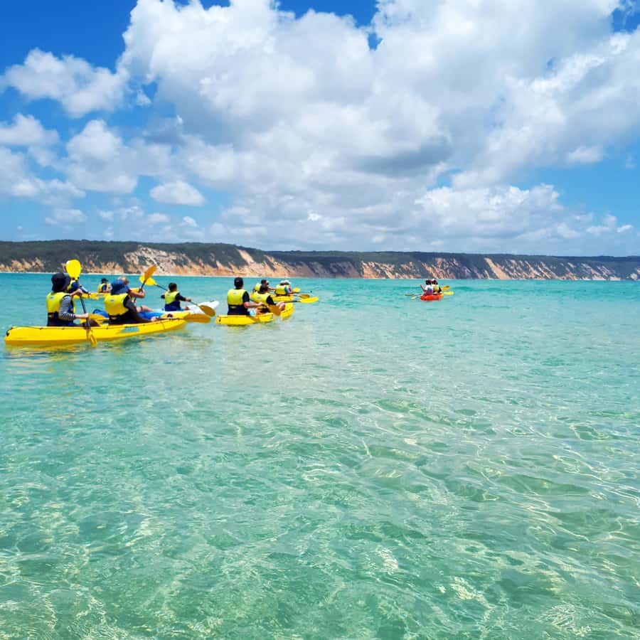 Dolphin Kayak Tour & Beach 4X4 National Park Tour (Private) - What the Seven-Hour Day Feels Like