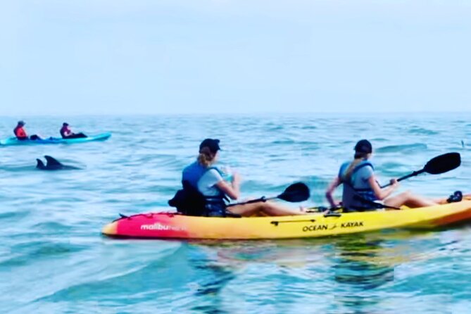 Dolphin Kayak Tour in Virginia Beach Must know how to swim - What the two-hour route feels like