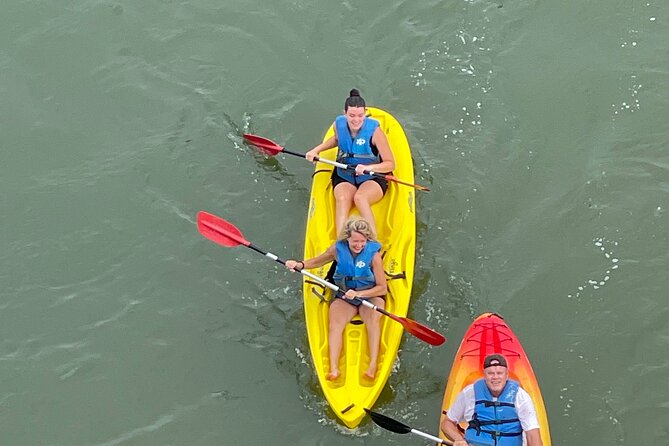 Dolphin Kayak Tour in Virginia Beach Must know how to swim - The physical side: two hours of paddling