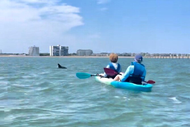 Dolphin Kayak Tour in Virginia Beach Must know how to swim - Bryan, Harrisonn, and the value of a good guide