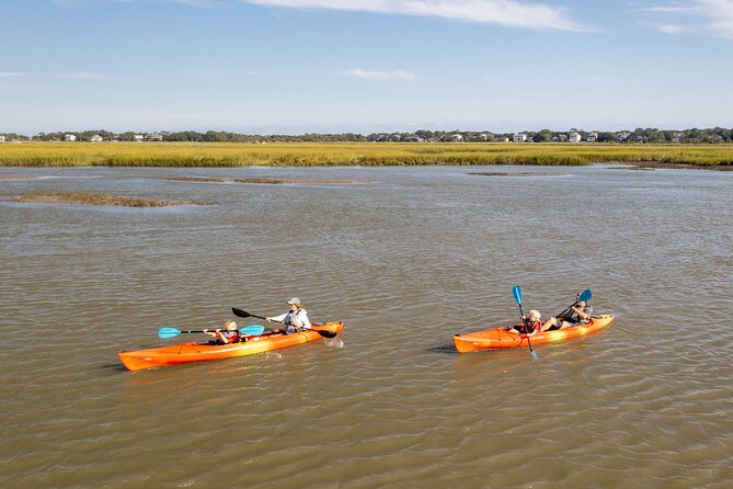 Dolphin Kayak Tour on Folly Beach - Is $55 a fair price?