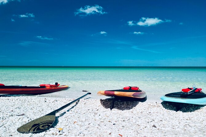 Dolphin, Manatee and Sea Turtle Adventure Tour of Bonita Springs - What the two hours include