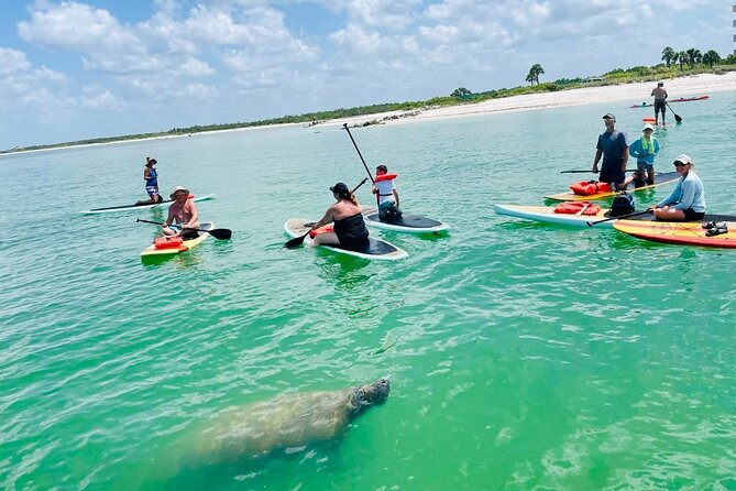 Dolphin, Manatee and Sea Turtle Adventure Tour of Bonita Springs - Is $65 a fair price?