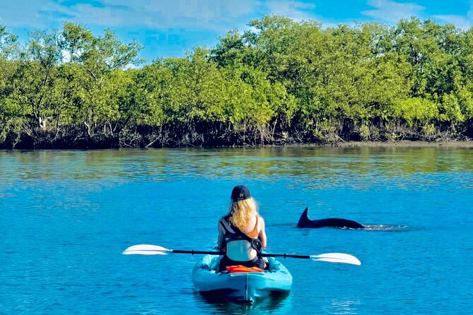 Dolphin, Manatee and Sea Turtle Kayak Adventure - Key points to know before you paddle