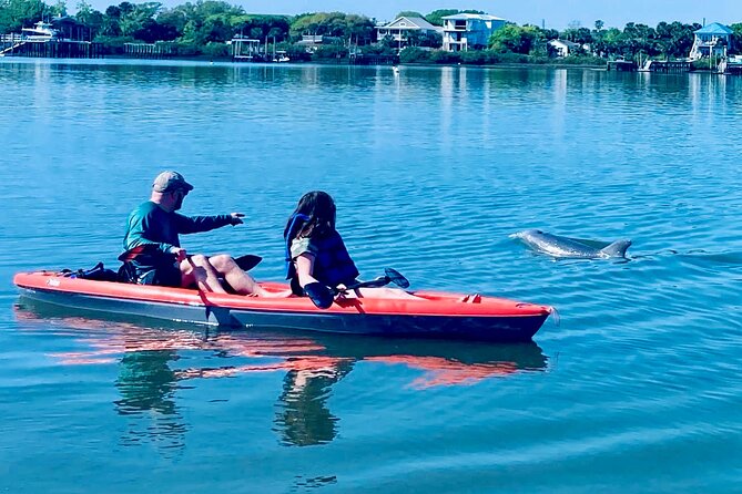 Dolphin, Manatee and Sea Turtle Kayak Adventure - What the two-hour St. Augustine paddle is really like