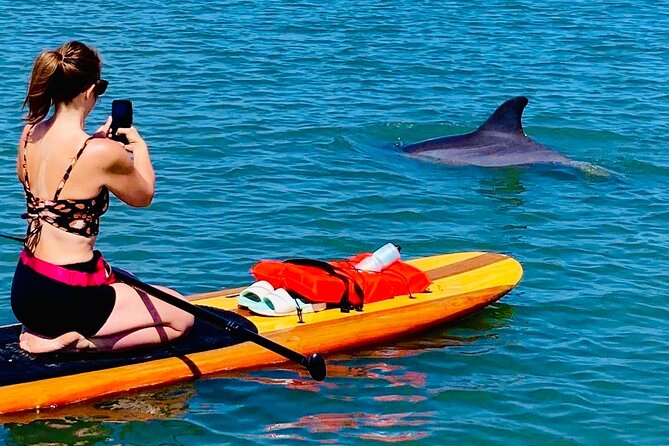 Dolphin, Manatee and Sea Turtle Kayak Adventure - St. Augustine history from the water