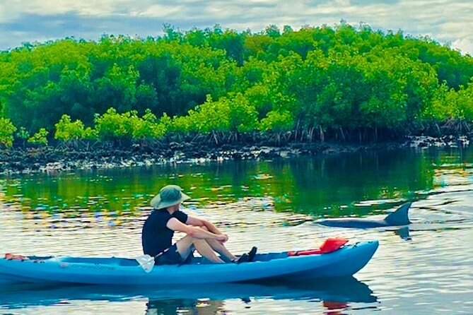 Dolphin, Manatee and Sea Turtle Kayak Adventure - How difficult is the paddling?
