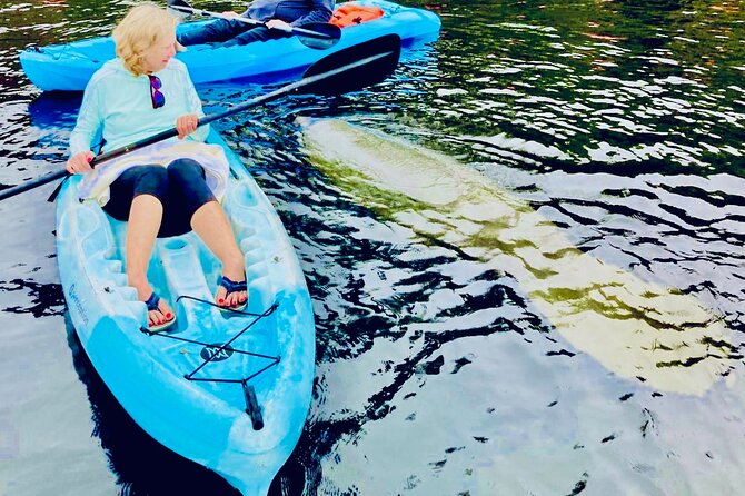 Dolphin, Manatee and Sea Turtle Kayak Adventure - Starting near Ocean Vista Avenue