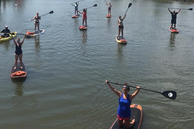Dolphin, Manatee and SeaTurtle SUP Adventure Tour of St Augustine - Paddling beside Anastasia State Park’s dunes