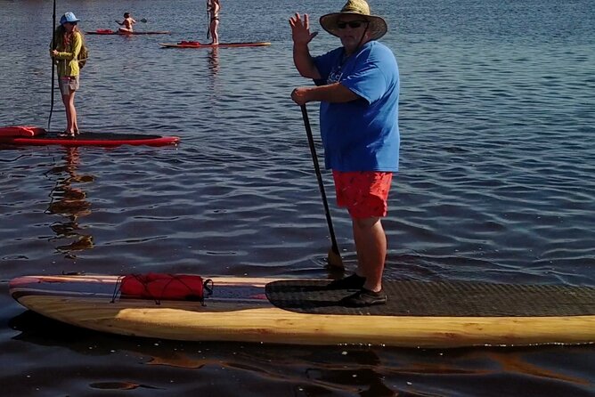 Dolphin, Manatee and SeaTurtle SUP Adventure Tour of St Augustine - Wildlife: what you may and may not see