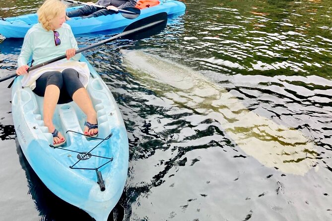 Dolphin, Manatee and SeaTurtle SUP Adventure Tour of St Augustine - Is $65 a good value?