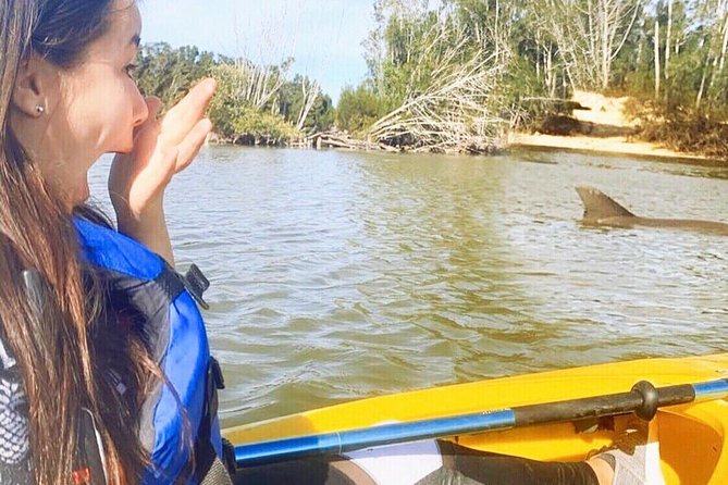 Dolphin & Manatee Kayaking Tour in Orlando Area - Key points to know before you book