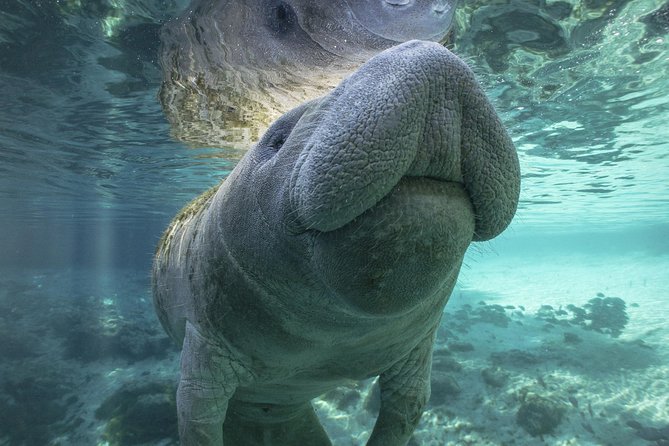 Dolphin & Manatee Kayaking Tour in Orlando Area - Haulover Canal is your launch into Florida’s wild side
