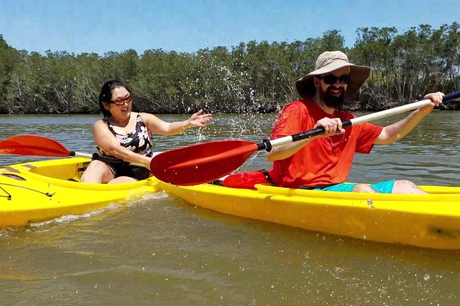 Dolphin & Manatee Kayaking Tour in Orlando Area - Two hours gives you a real taste of the estuary