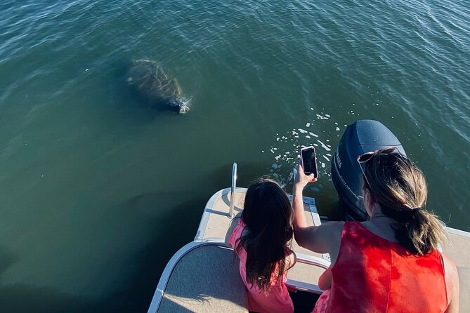 Dolphin/Manatee Pontoon Boat Tour with Local Expert - Why this small Cocoa Beach boat trip works