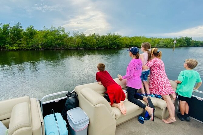 Dolphin/Manatee Pontoon Boat Tour with Local Expert - Indian River Shores from the water