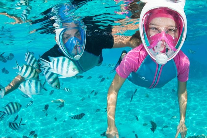 Dolphin Mini Cruise at Playa del Carmen - The swim and snorkel stop needs a careful reading
