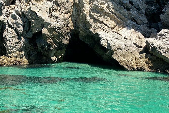 Dolphin Observation Boat Tour from Sesimbra - Francisco and the human side of the trip