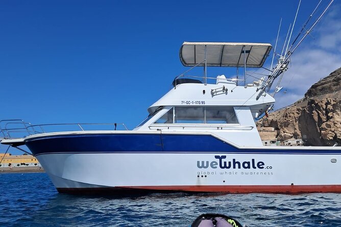 Dolphin Observation In A Small Group On A Silent Hybrid Boat - Leaving Pasito Blanco for open water