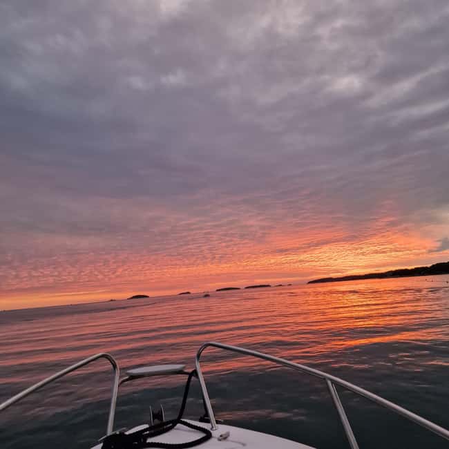 Dolphin private sunset tour Rovinj - Practical details that affect your evening