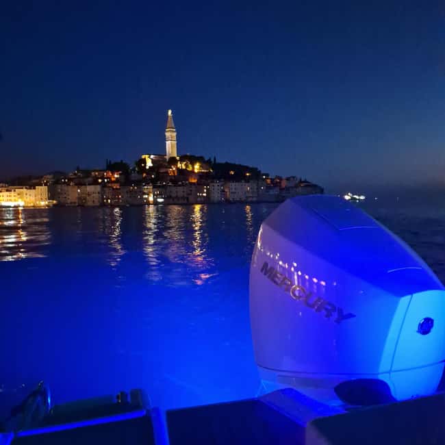 Dolphin private sunset tour Rovinj - Should you book the Dolphin private sunset tour Rovinj?