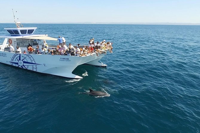 Dolphin Quest & Marine Life Search - Leaving Vilamoura Marina for the Algarve coast