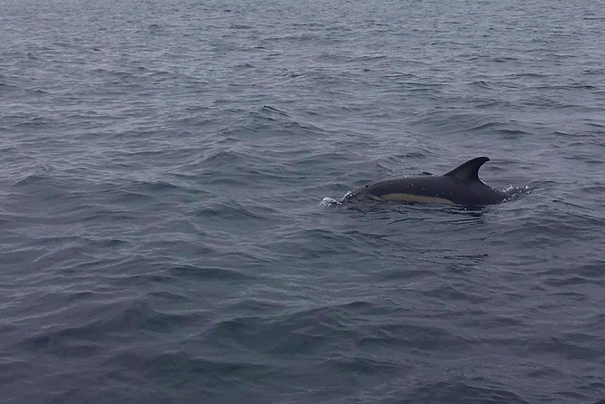 Dolphin Route - The return toward Areia Branca Beach
